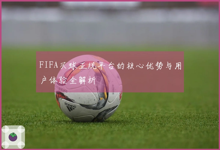 FIFA买球正规平台的核心优势与用户体验全解析