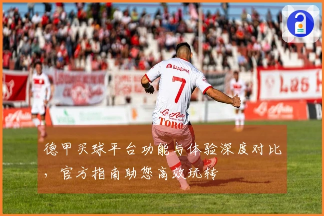 德甲买球平台功能与体验深度对比，官方指南助您高效玩转