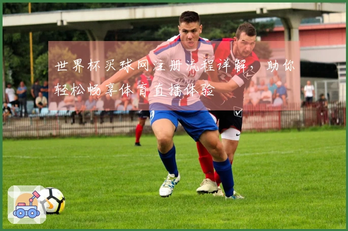 世界杯买球网注册流程详解，助你轻松畅享体育直播体验