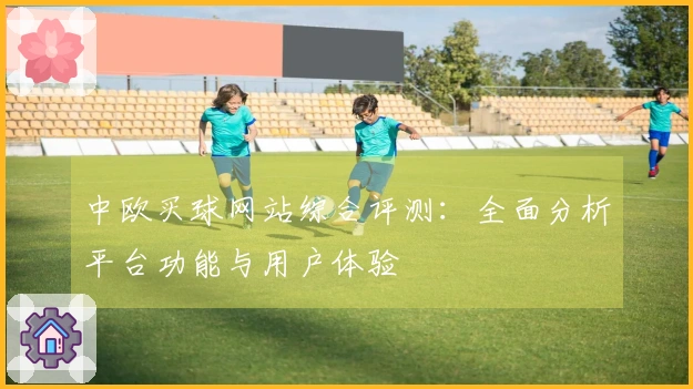 中欧买球网站综合评测：全面分析平台功能与用户体验