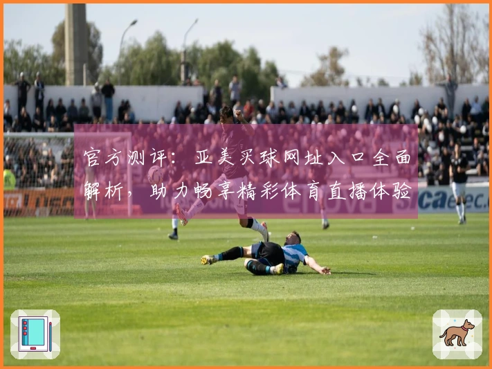 官方测评：亚美买球网址入口全面解析，助力畅享精彩体育直播体验
