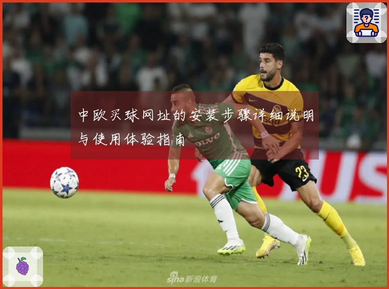 中欧买球网址的安装步骤详细说明与使用体验指南